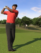 logo Tiger Woods PGA Tour 12