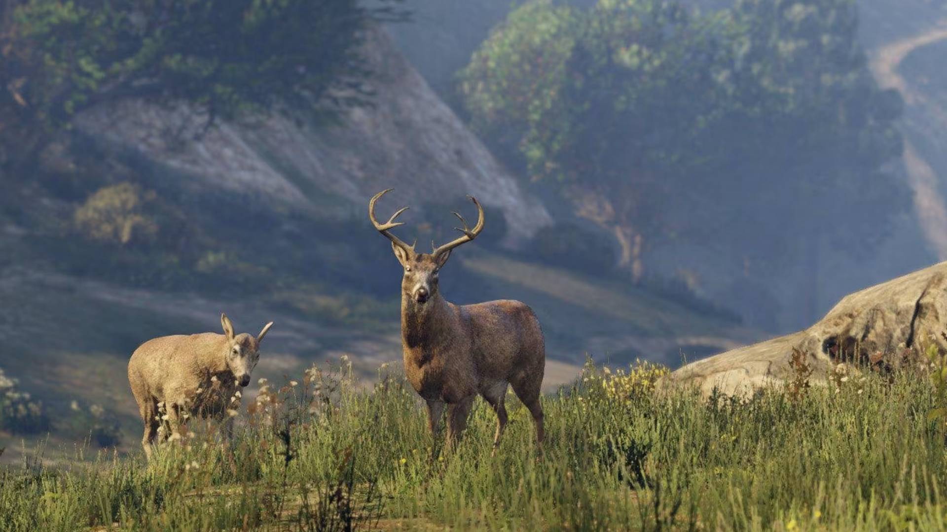 Les animaux débarquent dans GTA Online plus de dix ans après sa sortie !