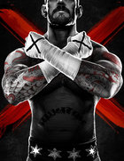 logo WWE'13