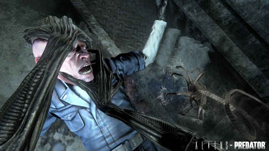 Test : Test – Aliens vs Predator