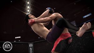 De la chair fraiche en images pour MMA