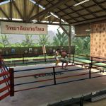Le mode Carrière de EA Sports MMA en images