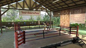 News : Le mode Carrière de EA Sports MMA en images