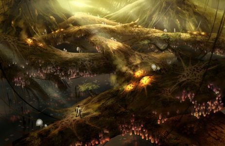 Test : Test – Dungeon Siege 3