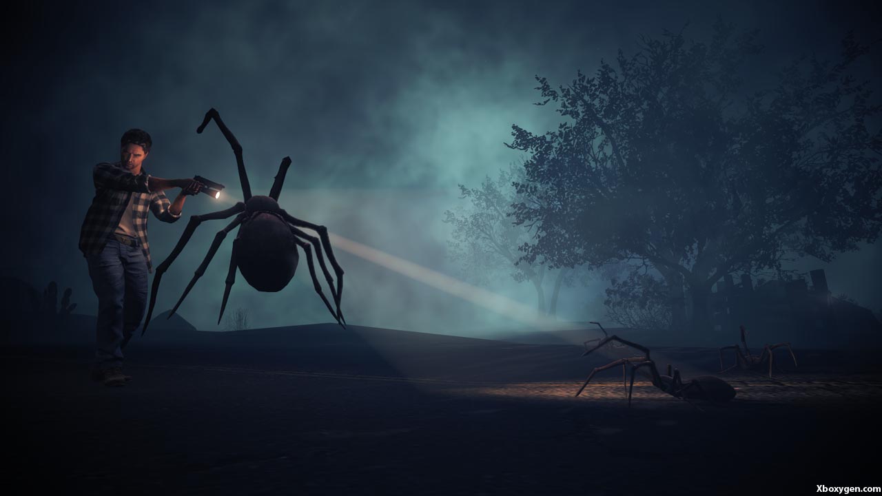 Tiens une grosse araignée, c'est la même que j'ai vu dans ma chambre !