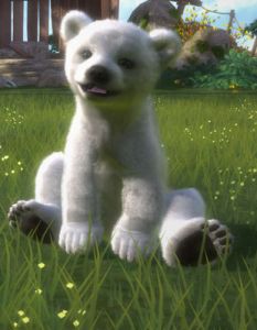 News : Kinectimals Now with Bears est officiel : images