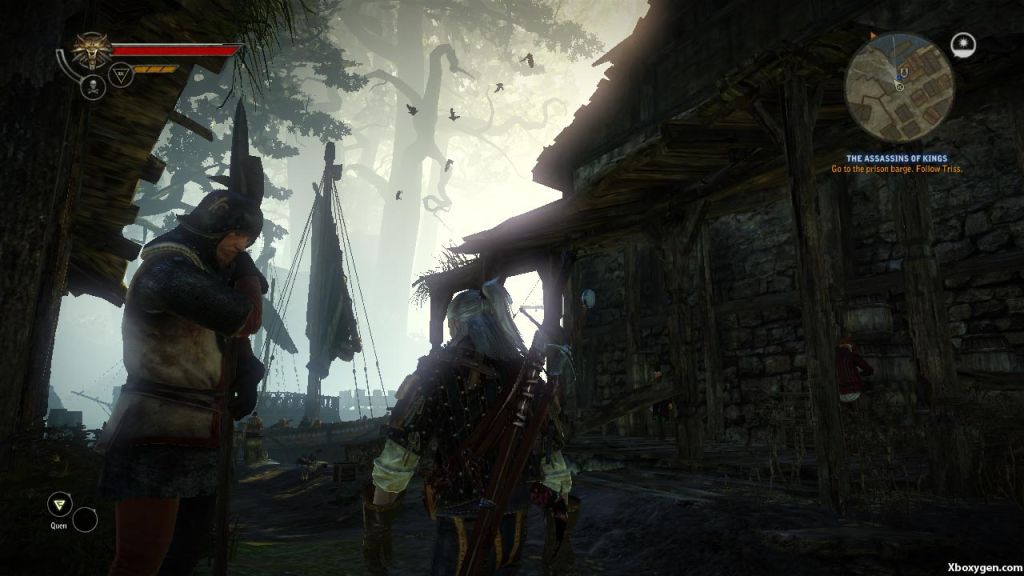 Test - The Witcher 2