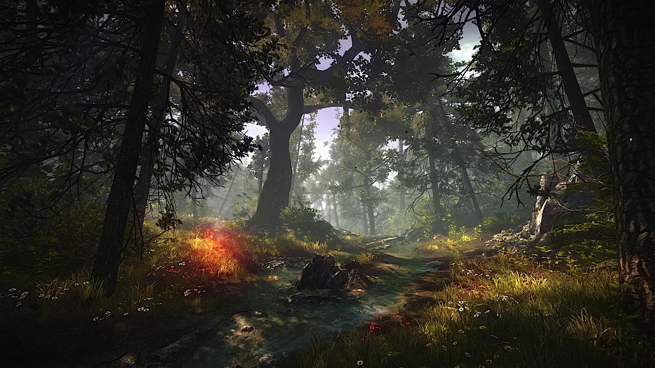 Ecoutez la forêt avec vos yeux (c'est une image, alors un peu d'imagination je vous prie), on s'y croirait.