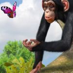 Zoo Tycoon : les différences Xbox 360 vs Xbox One