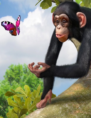 Zoo Tycoon