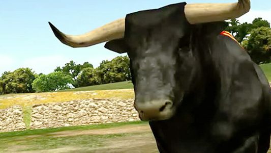 Test : Test – Toro