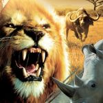 Cabela’s African Adventures vient chasser sur Xbox One