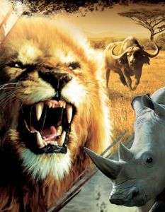 News : Cabela’s African Adventures vient chasser sur Xbox One