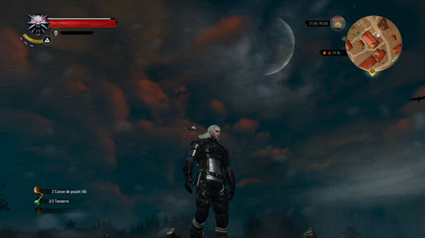 Geralt, l'homme le plus classe du monde