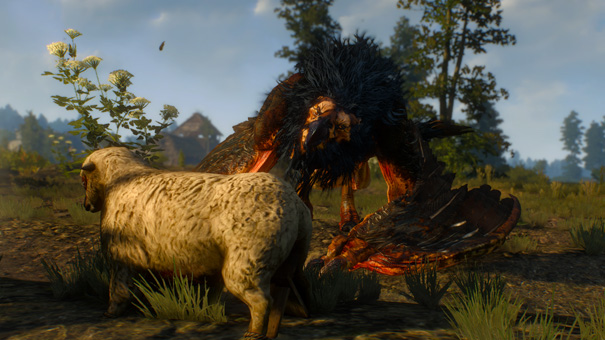 Cd Projekt mange tout cru la concurrence