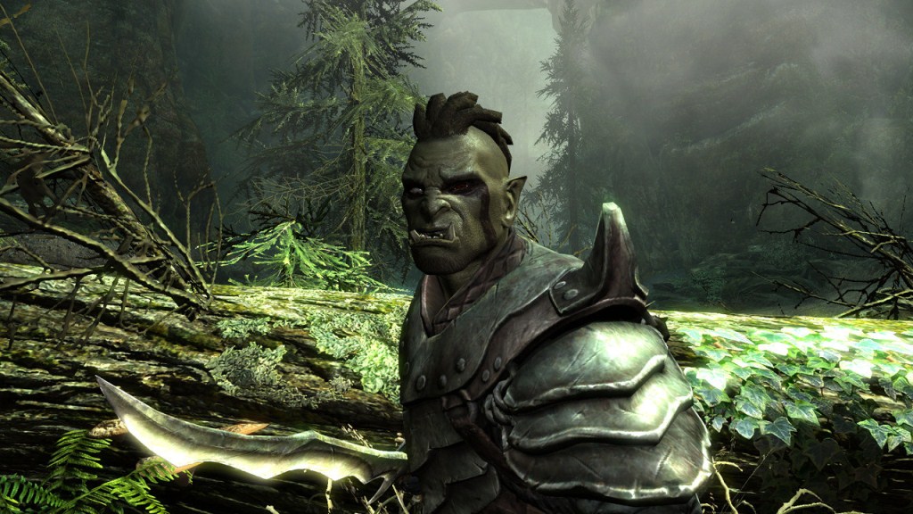 Pas de nouvel Elder Scrolls d&rsquo;ici un bon moment