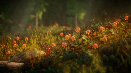 Test : Test – Unravel