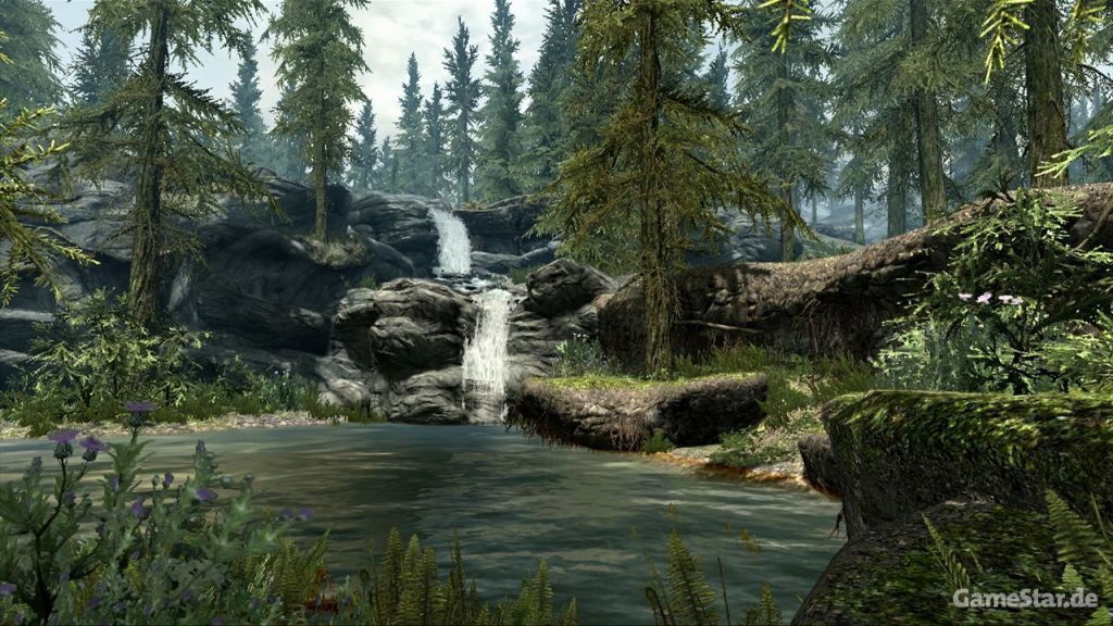 The Elder Scrolls V : Skyrim Definitive Edition : la leak week continue