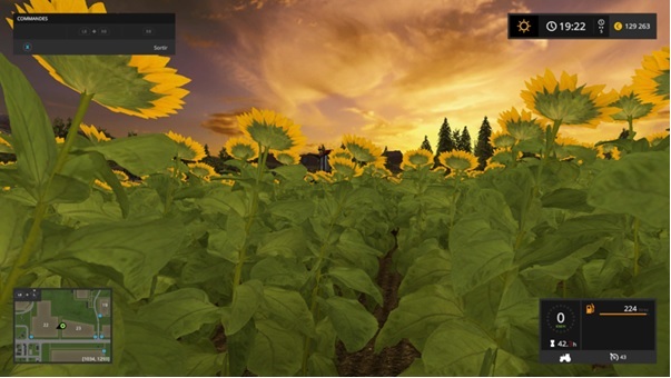 Des photos dignes de Forza Horizon 3 (au moins)