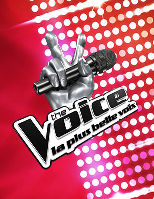 The Voice : La Plus Belle Voix