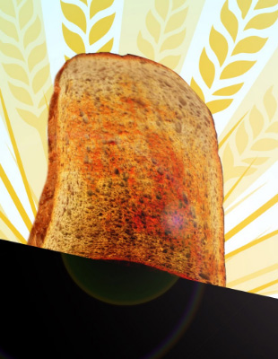 Jeu : I am Bread