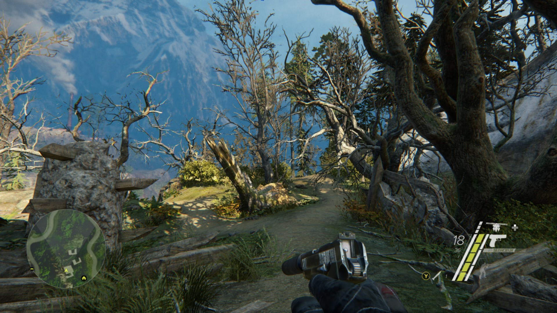 Globalement, on ne peut pas dire que le jeu soit transcendant visuellement