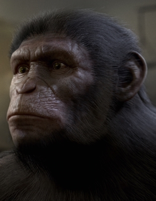 La Planète des Singes : Last Frontier annoncé pour cet automne avec quelques détails