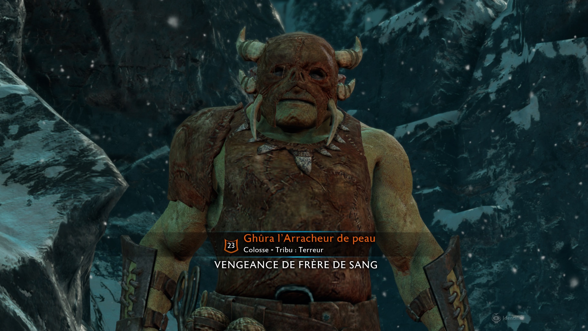 Hélas, je vais devoir le massacrer lui aussi...