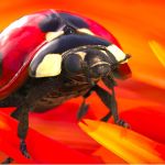 Insects : la démo 4K HDR à télécharger pour Xbox One X qui claque bien !