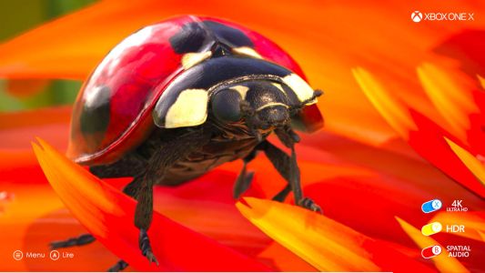 News : Insects : la démo 4K HDR à télécharger pour Xbox One X qui claque bien !
