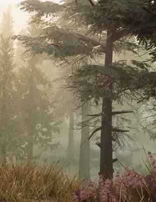 Jeu : Mavericks: Proving Grounds