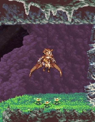 Jeu : Owlboy