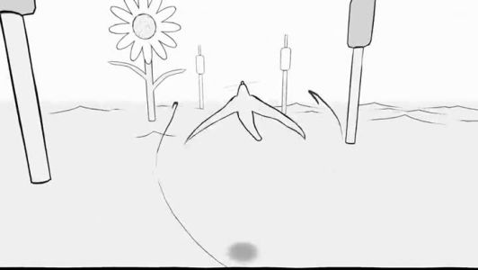 News : Bird + : le jeu de simulation de vol d’oiseau (??) arrive sur Xbox One