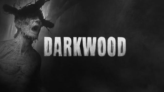 News : Darkwood : l’horreur dans toute sa splendeur sort aujourd’hui