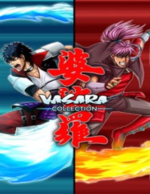Jeu : VASARA Collection
