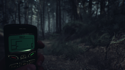 Test : Test – Blair Witch, un jeu qui a du chien ?