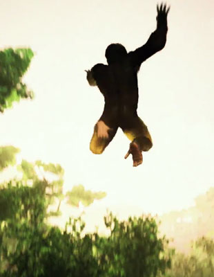 Jeu : Ancestors : The Humankind Odyssey