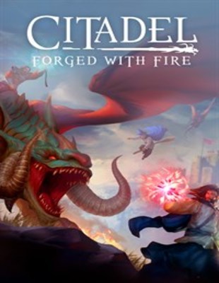Jeu : Citadel: Forged with Fire