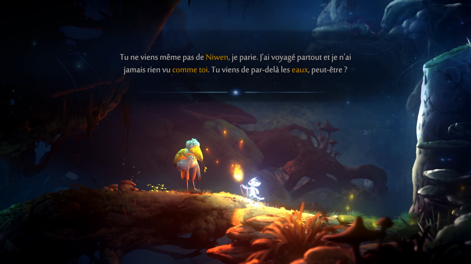 Bonjour monsieur