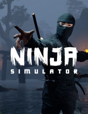 Jeu : Ninja Simulator