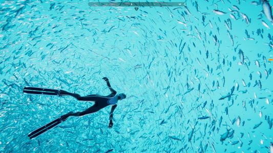 Test : Test – Beyond Blue – Un documentaire plus ludique qu&rsquo;interactif