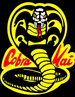 Jeu : Cobra Kai