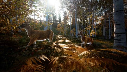News : Hunting Simulator 2 maintenant dispo en 4K et 60 FPS sur Xbox Series X