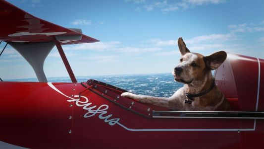 News : La pub Noël 2020 de Microsoft met en avant les jeux Xbox via l’histoire d’un chien