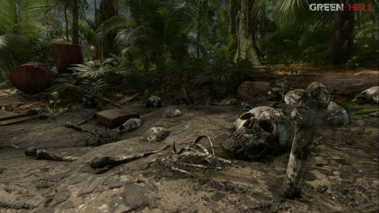 News : Green Hell arrive sur Xbox Series X|S & PS5 : sauvegardes, mise à jour… les détails !