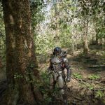 Unreal Engine 5 : la démo en pleine forêt qui en met plein la vue