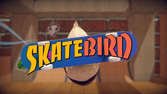 News : SkateBIRD : le jeu est repoussé mais arrive toujours dans le Xbox Game Pass