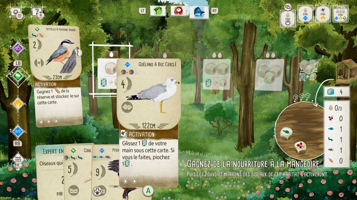 Il faut prendre en compte chaque caractéristique d'un oiseau