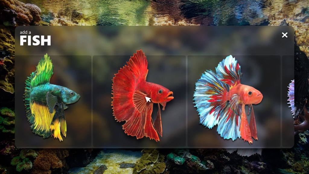 Transformer sa TV en aquarium sur Xbox ? C’est désormais possible !