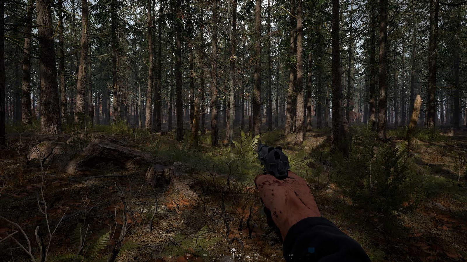 Les forêts sont très belles